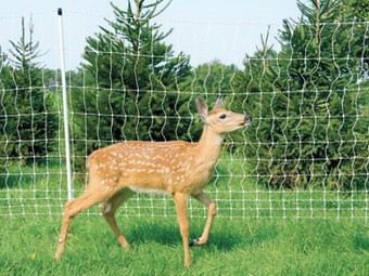 농경지 야생동물 억제를 위한 유리섬유 울타리 포스트: 사슴 울타리 및 야생동물 장벽을 위한 강력한 지원