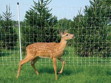 deer fencing by fiberglass post with double spike